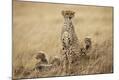 Photographic Print