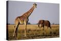 Stretched Canvas Print