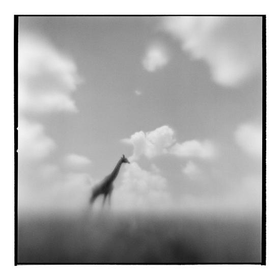 Photographic Print, , large