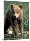 Premium Photographic Print