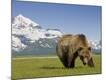 Premium Photographic Print