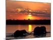 Photographic Print