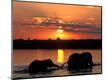 Photographic Print