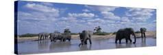 Stretched Canvas Print