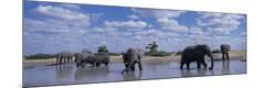 Photographic Print