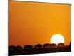 Premium Photographic Print