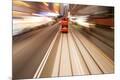 Photographic Print
