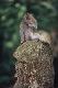 Premium Photographic Print