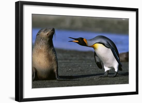 Photographic Print, , large