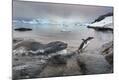 Photographic Print