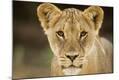 Photographic Print