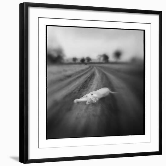 Photographic Print, , large