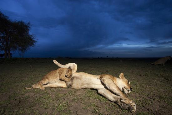 Photographic Print, , large