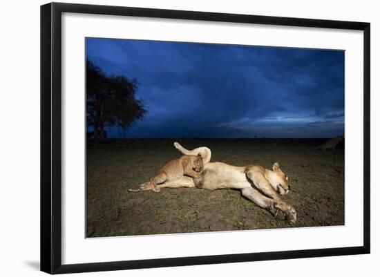 Photographic Print, , large