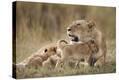 Stretched Canvas Print