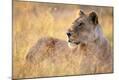 Photographic Print