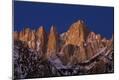 Photographic Print
