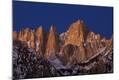 Photographic Print