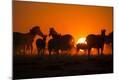 Photographic Print