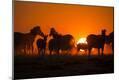 Photographic Print