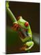 Premium Photographic Print