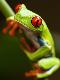 Premium Photographic Print