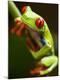 Premium Photographic Print