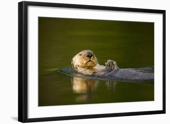 Photographic Print, , large