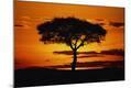Photographic Print