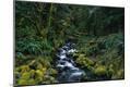 Photographic Print