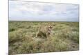 Premium Photographic Print