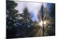 Photographic Print
