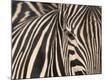 Premium Photographic Print