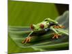 Premium Photographic Print