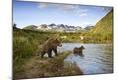 Photographic Print