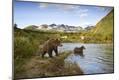 Photographic Print