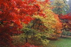 Blue Mountains, Blue Ridge Parkway, Virginia-Paul Souders-Photographic Print