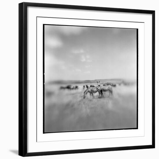 Photographic Print, , large
