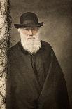 1881 Tinted Charles Darwin Portrait-Paul Stewart-Photographic Print