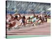 Stretched Canvas Print