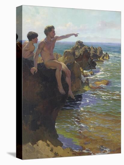 Stretched Canvas Print, , large