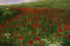 The Poppy Field, 1896-Paul von Szinyei-Merse-Giclee Print