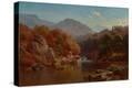 Stretched Canvas Print