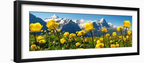 Photographic Print, , large