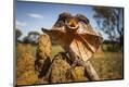 Photographic Print
