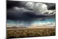 Photographic Print