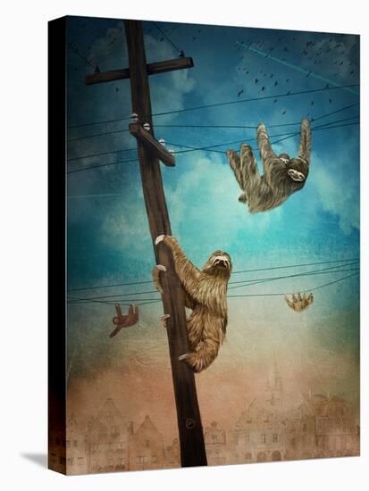 Stretched Canvas Print, , large