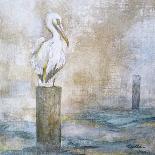Coastal Birds II-Paula Giltner-Framed Stretched Canvas