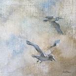 Coastal Birds II-Paula Giltner-Framed Stretched Canvas