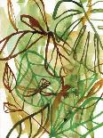 Tropical Scramble-Paula Mills-Giclee Print